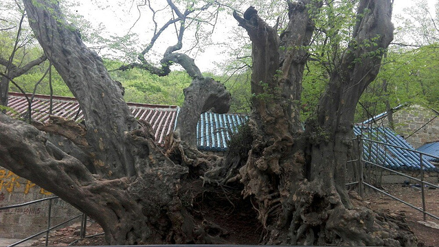 淮北旅游景点和自驾游景区