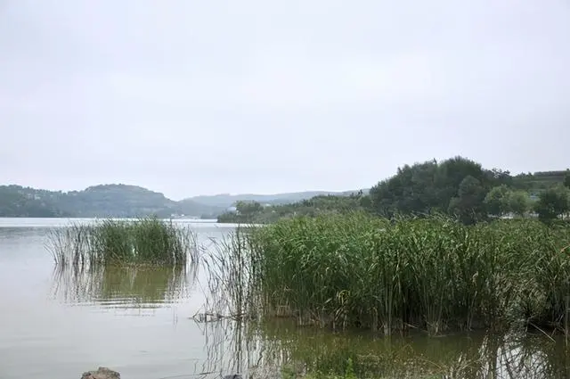 陇南旅游景点和自驾游景区