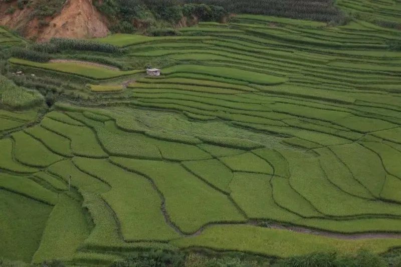 玉溪旅游景点和自驾游景区