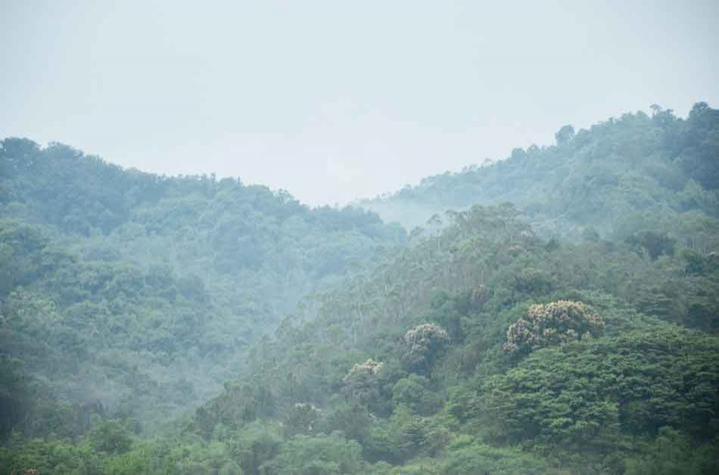 南昆山居温泉度假村怎么样