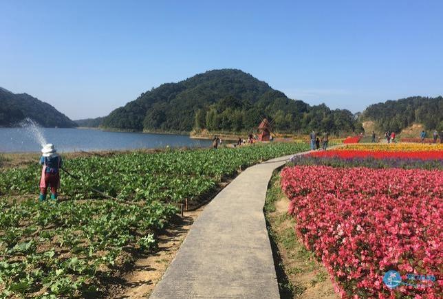 石门国家森林公园天池花海红叶一日游