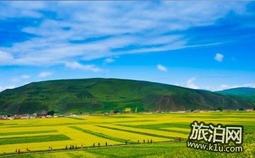 去青海旅行住哪，青海交通攻略