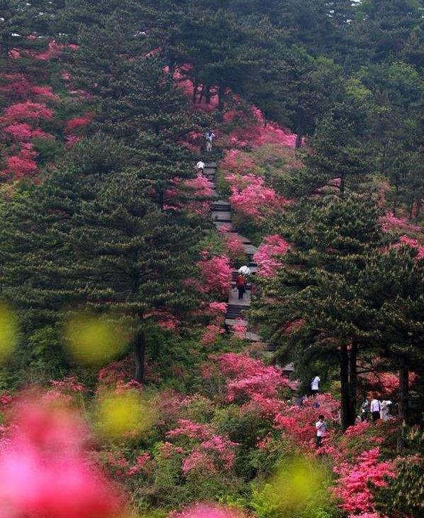 麻城龟峰山游玩攻略 麻城龟峰山风景区旅游攻略