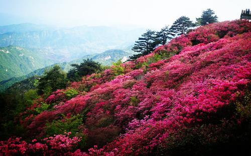 麻城龟峰山游玩攻略，麻城龟峰山风景区旅游攻略