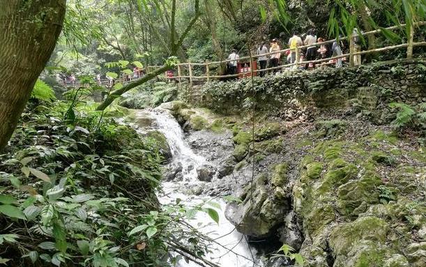 重庆黑山谷旅游攻略