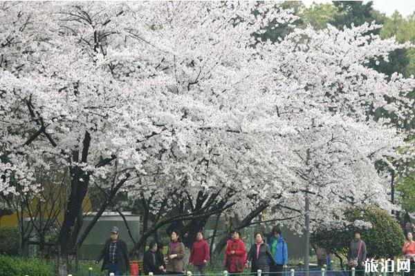 常州青枫公园游玩项目收费多少