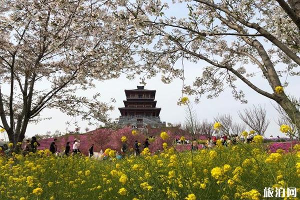 郑州丰乐樱花园门票 怎么导航-停车哪里方便