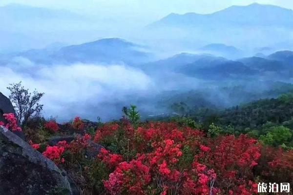 攀枝花龙头山在哪里