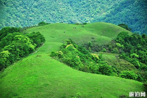 罗定八排山登山线路图 八排山海拔高度多少