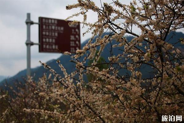 长泰古山重景区简介，怎么去