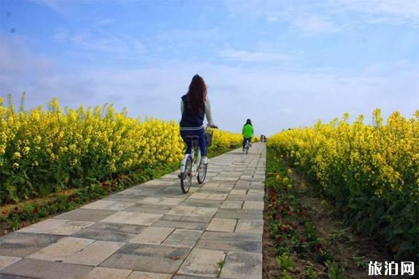 东滩湿地公园简介 门票多少钱