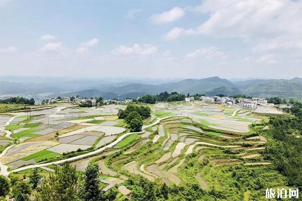 高坡云顶草原简介，高坡云顶草原门票多少