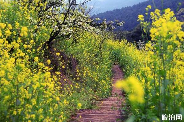 九凤山风景区介绍，九凤山门票游玩攻略