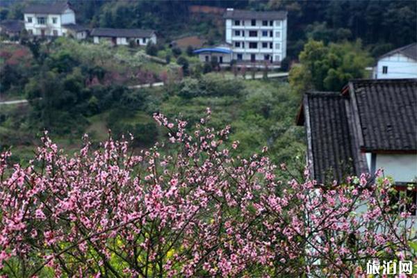 九凤山风景区介绍 九凤山门票-游玩攻略