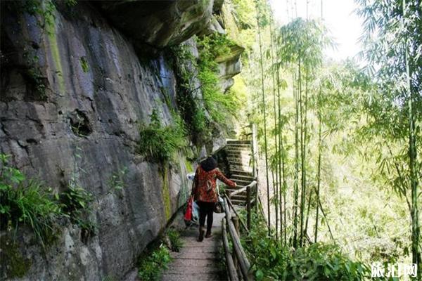 清溪沟景区介绍，清溪沟可以钓鱼吗