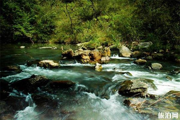 马龙野花沟露营攻略，托运价格路线