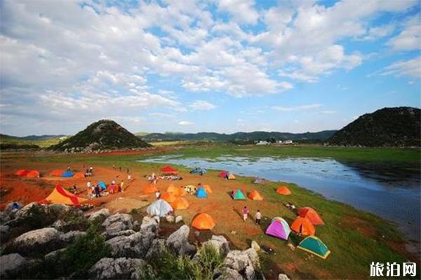 曲靖海峰湿地公园怎么去，包车费用多少海峰湿地可以钓鱼吗