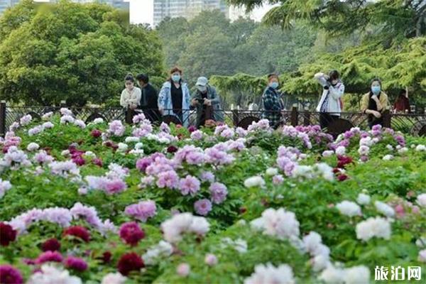 昆明百花公园在哪里，需要门票吗