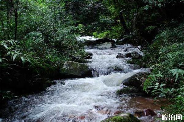 大叠水瀑布景区介绍，露营探险攻略