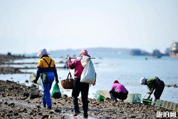 青岛赶海时间表 哪里赶海好