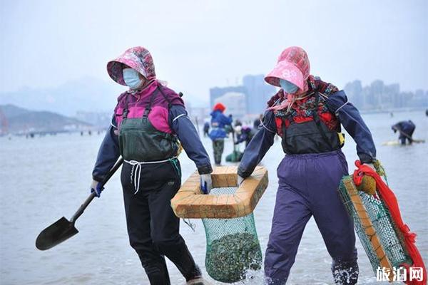 青岛海边有哪些赶海抓螃蟹的地方