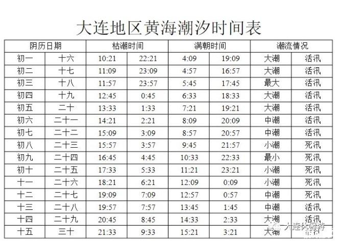 小拉树房渤海乐园浴场赶海时间表