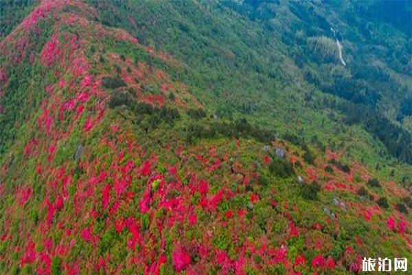 丰城升华山景区介绍 升华山杜鹃花什么时候开-游玩攻略