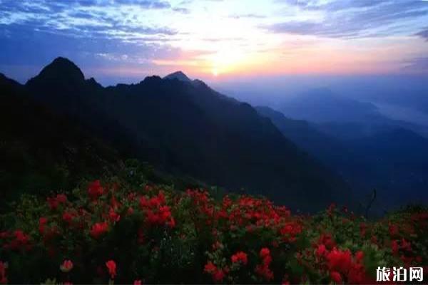 白崖山景区介绍，白崖山杜鹃花什么时候开游玩攻略