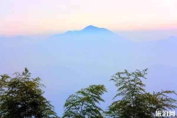 铜鼓大沩山风景区介绍 杜鹃花观赏