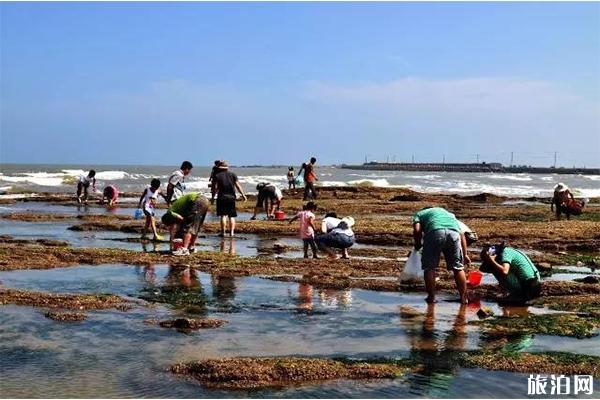 湛江硇洲岛赶海时间表，湛江硇洲岛赶海攻略