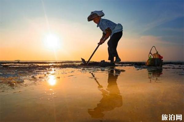 广西北海赶海去哪里比较好