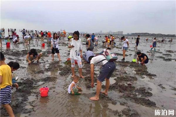 秦皇岛蟹贝湾赶海基地介绍，地址具体线路