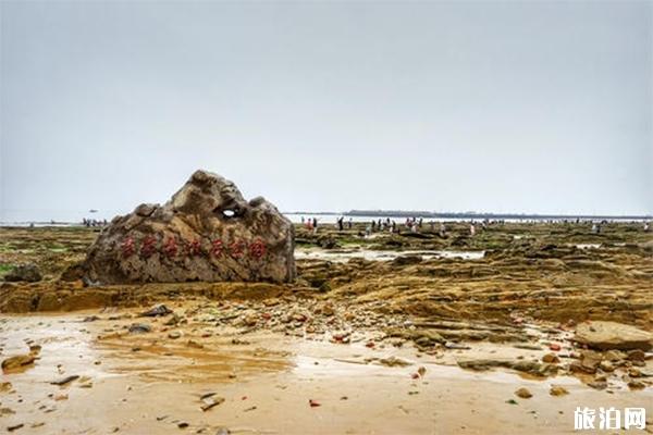 日照万宝园赶海需要门票吗，门票多少钱赶海最佳时间