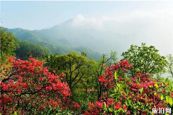 六安景区中国旅游日优惠信息汇总