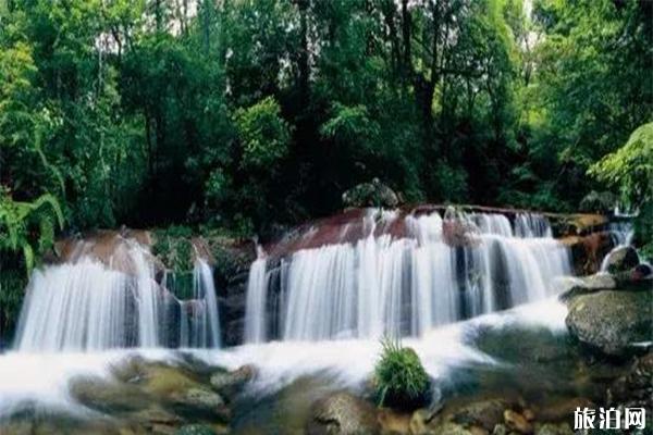 武平梁野山景区介绍 露营怎么样-交通指南