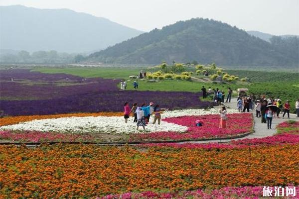 七孔桥花海介绍，什么时候去游玩最好