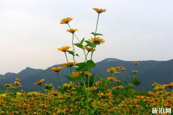 七孔桥花海介绍 什么时候去游玩最好