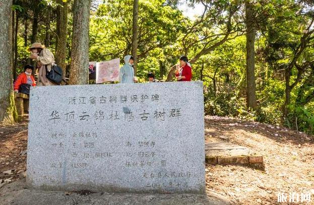 天台山大瀑布游记 天台山大瀑布旅游攻略