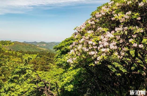 天台山大瀑布游记 天台山大瀑布旅游攻略