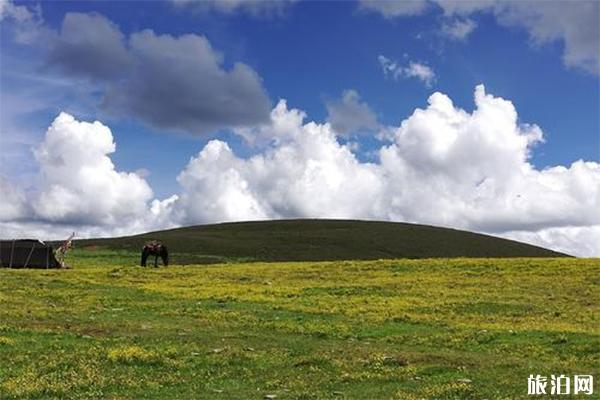 毛垭大草原面积有多大 毛垭大草原介绍