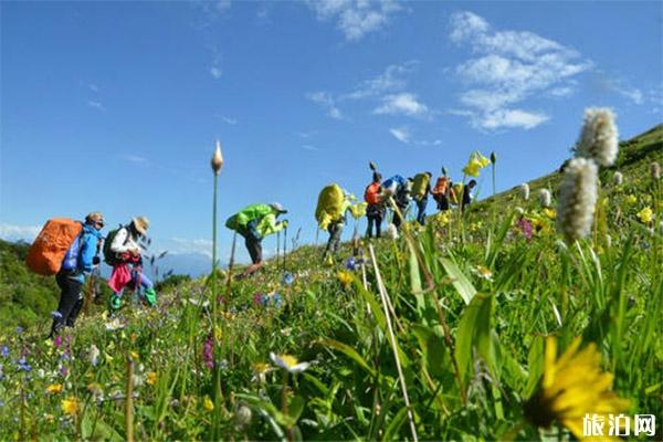 九顶山花海是前山还是后山，上山路线推荐