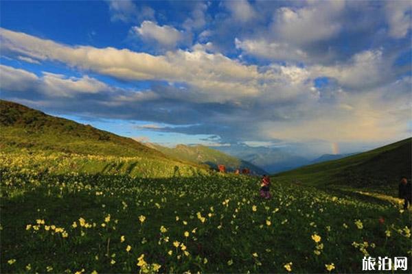 九顶山二日徒步地图路线，成都到九顶山多少公里，开车多久