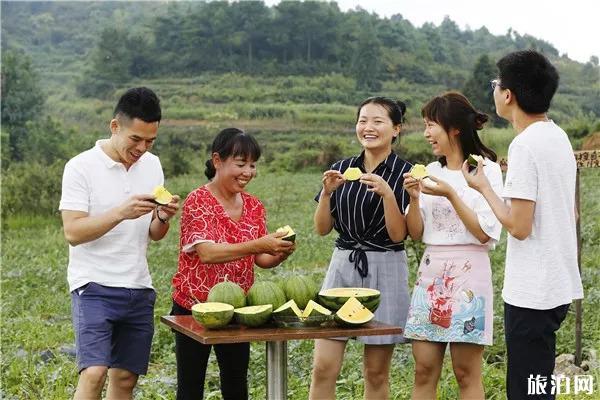 贵阳乌当区西瓜采摘地推荐