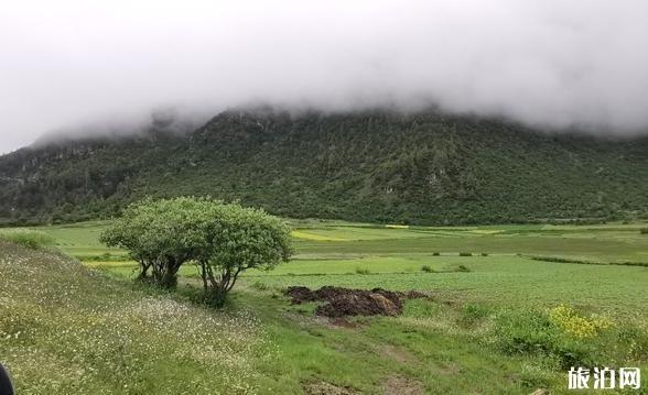 吉隆镇旅游攻略