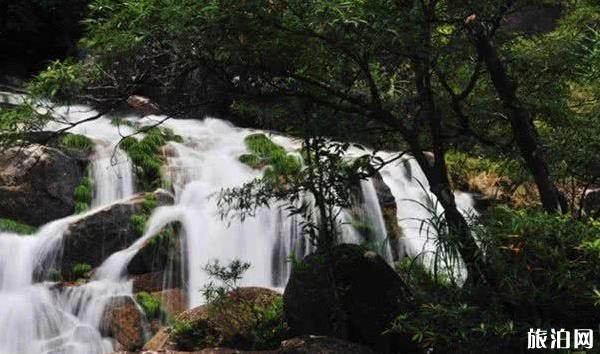 屏峰雨林公园好玩吗，屏峰雨林公园怎么样