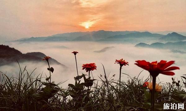 石潭村游玩攻略 黄山石潭村旅游指南