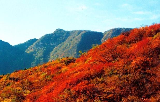 四川米亚罗自驾游线路 推荐