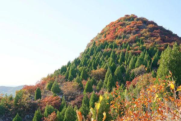 舞彩浅山滨水国家登山步道，赏红叶攻略