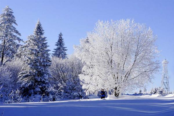 吉林冬季旅游景点攻略，赏雪景好去处