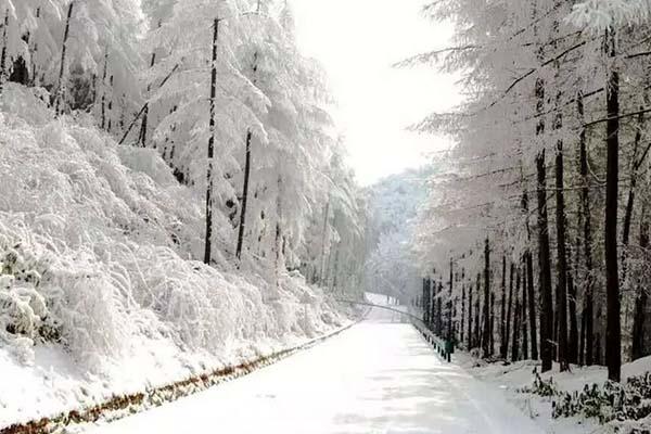 重庆茅草坝滑雪场游玩攻略，时间地点门票